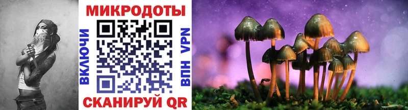 купить наркотики сайты  Усть-Катав  Псилоцибиновые грибы Cubensis 